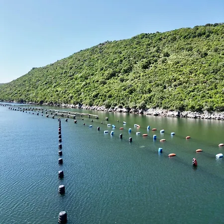 Casa vacanze The Mussel House