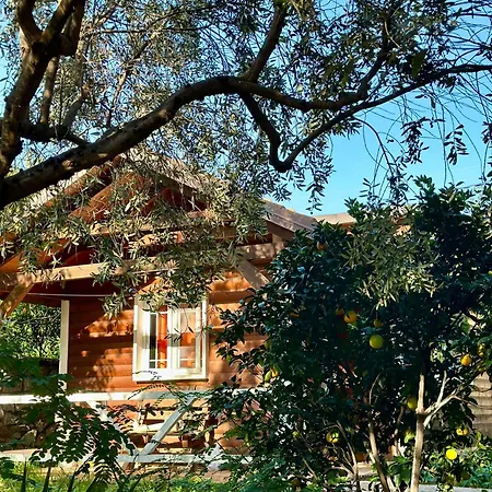 The Mussel House Σπίτι διακοπών Εξαμίλιο