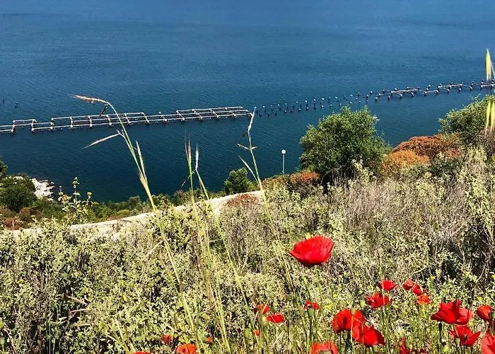 度假居 The Mussel House *