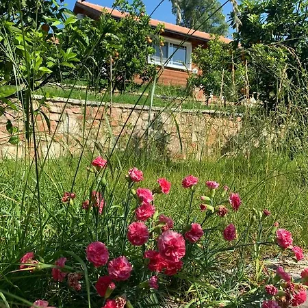 The Mussel House בית נופש *