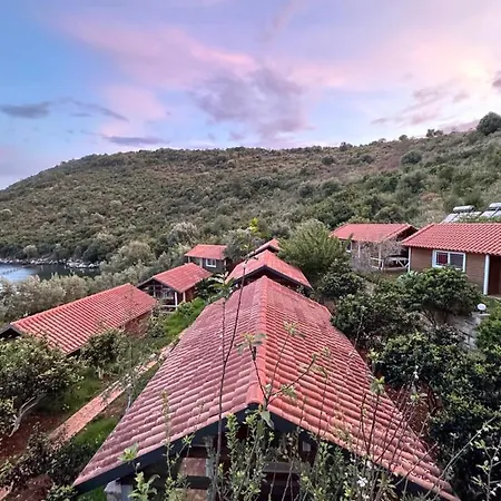 בית נופש The Mussel House