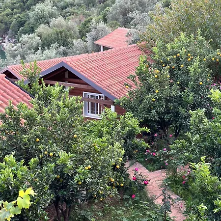 Holiday home The Mussel House