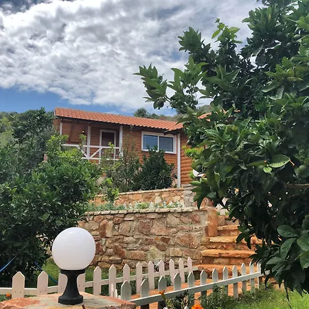 The Mussel House * Ksamil