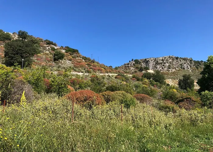 בית נופש The Mussel House *