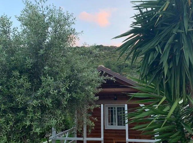 The Mussel House Ksamil