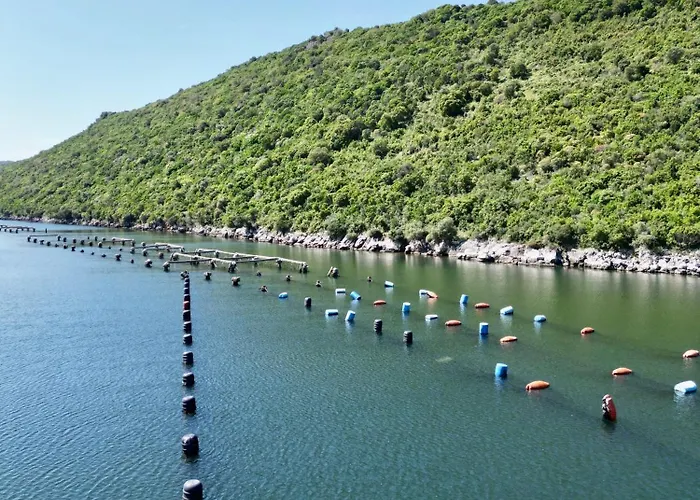 בית נופש The Mussel House