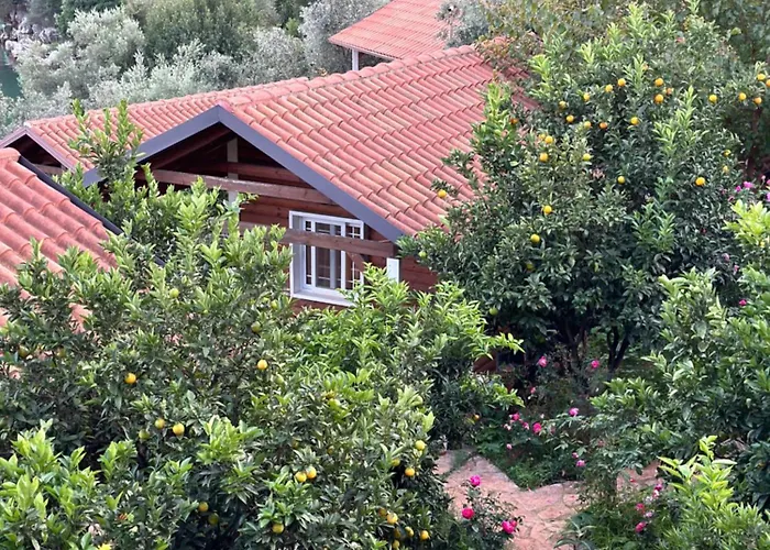 בית נופש The Mussel House